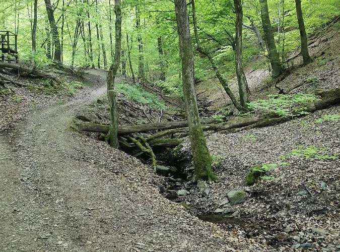 Appartement Moderne Mit Terrasse Und Eigenem Zugang. *